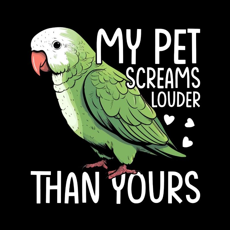 Moine vert Acteur Quaker Conure Perroquets