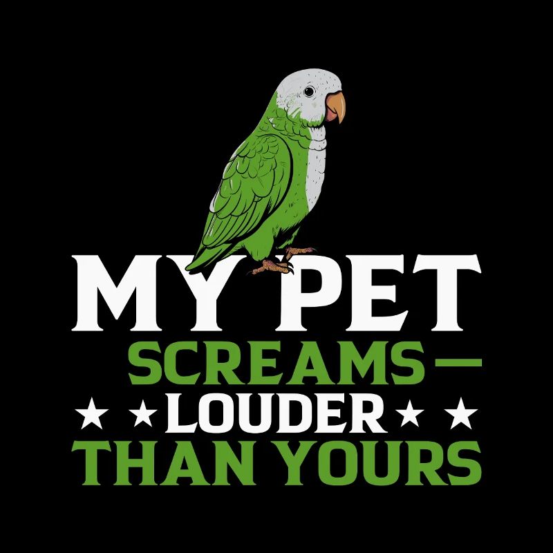 Moine vert Acteur Quaker Conure Perroquets
