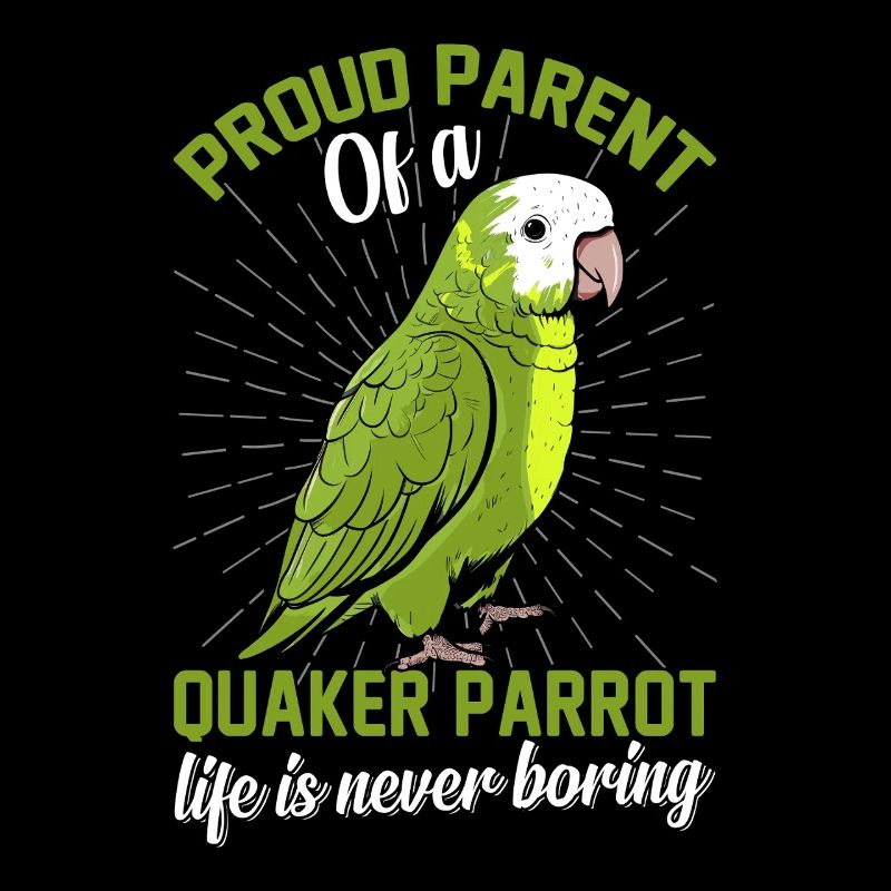 Moine vert Acteur Quaker Conure Perroquets