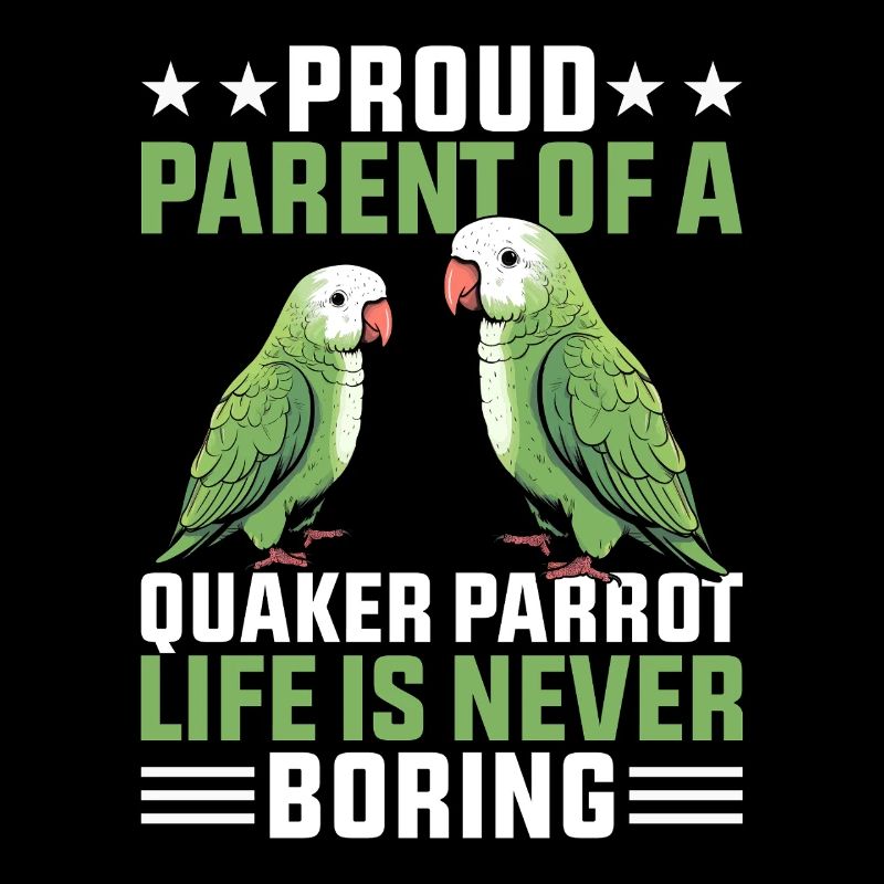 Moine vert Acteur Quaker Conure Perroquets
