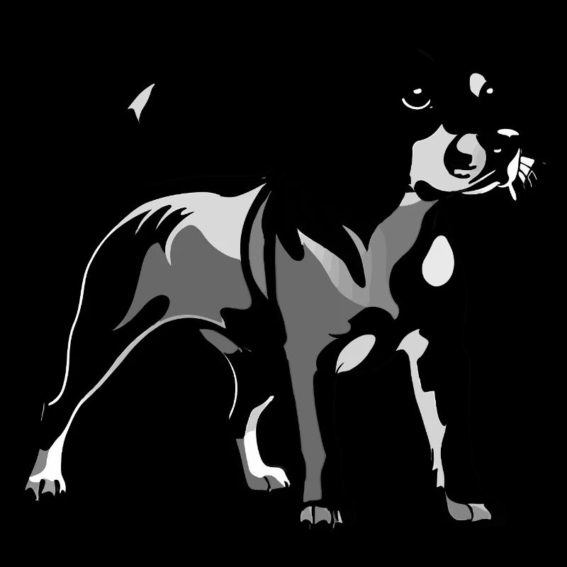 Beagle - Conception de chien de compagnie