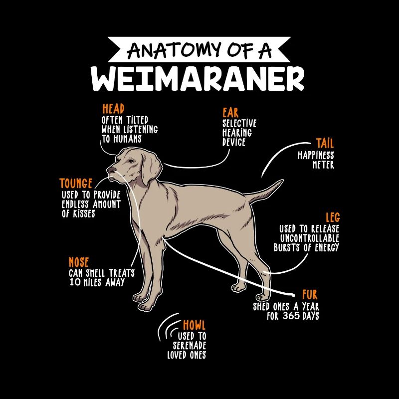 Weimaraner Anatomie Hunde Geschenk