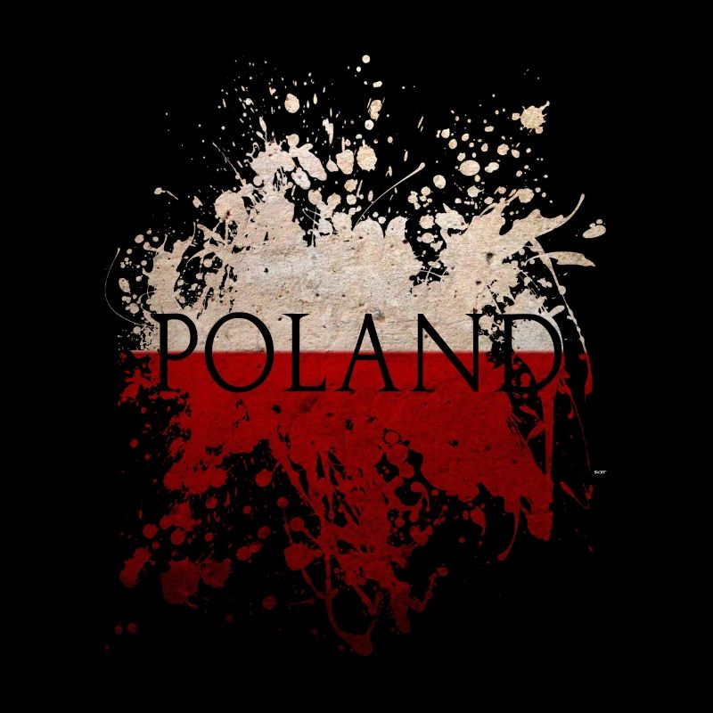 Drapeau pologne drapeau pologne