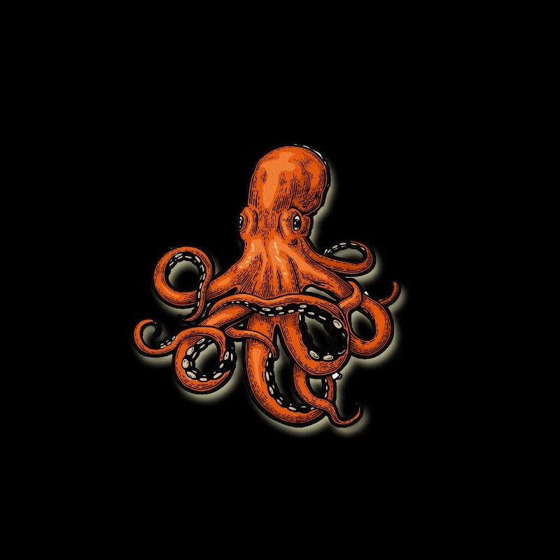 Octopus Octopoda Squids Polyp Calamari Sea Gift