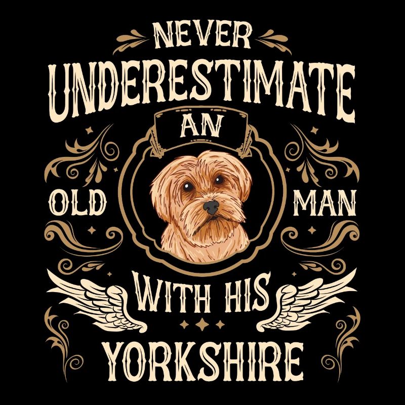 Yorkshire Terrier Hund