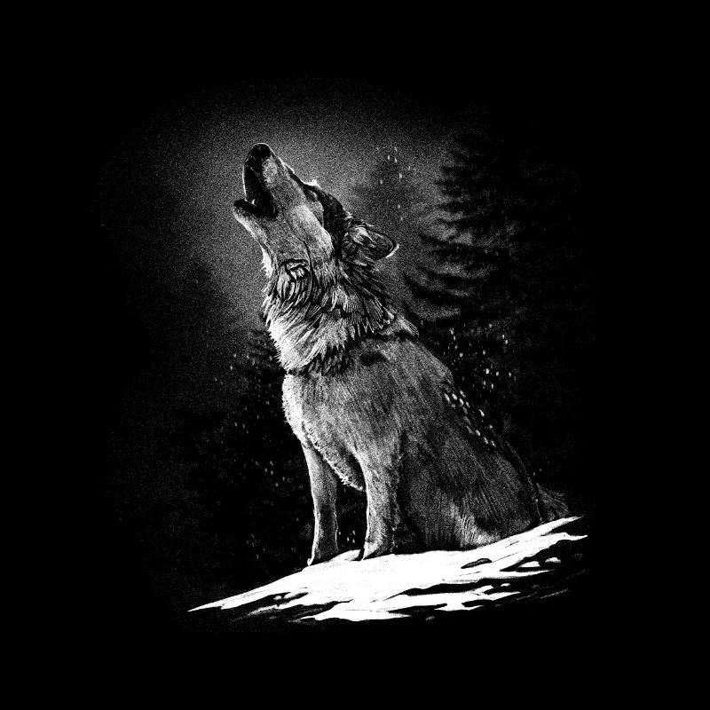 Wolf Wolves Animal Howling