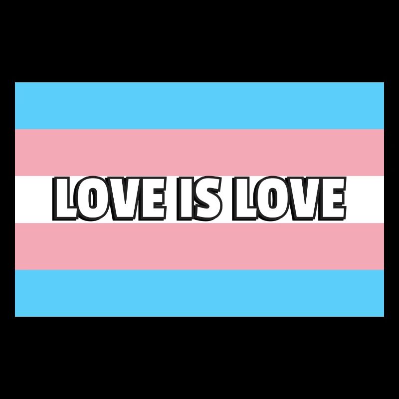 Trans Pride Liebe ist Liebe