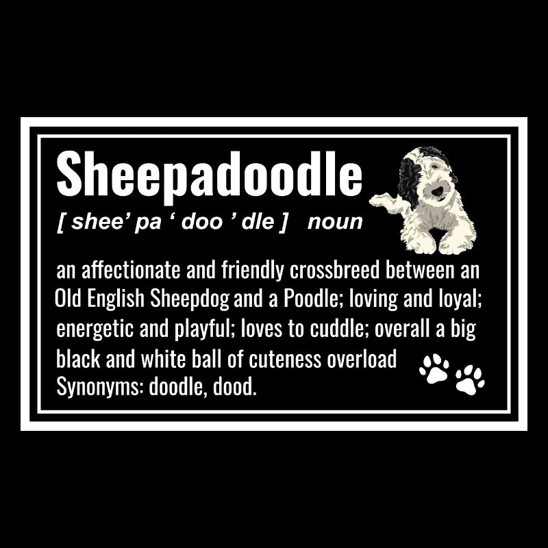 Sheepadoodle Doodle Hund