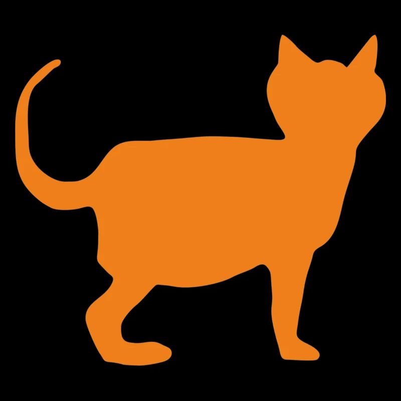 Cat Orange