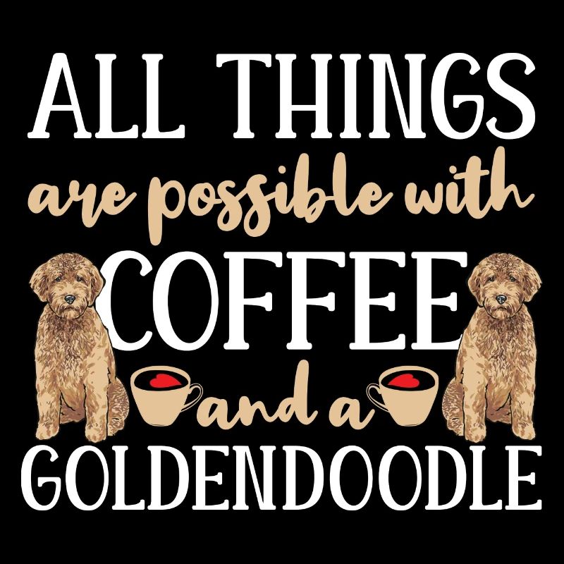 Goldendoodle Doodle Chien