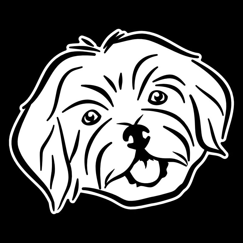 Havanese