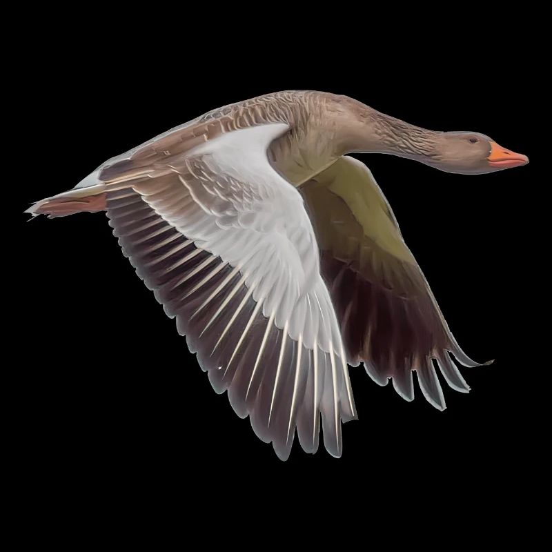 Goose