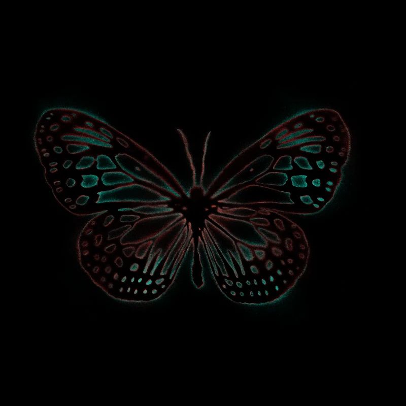 Schmetterling Graffiti