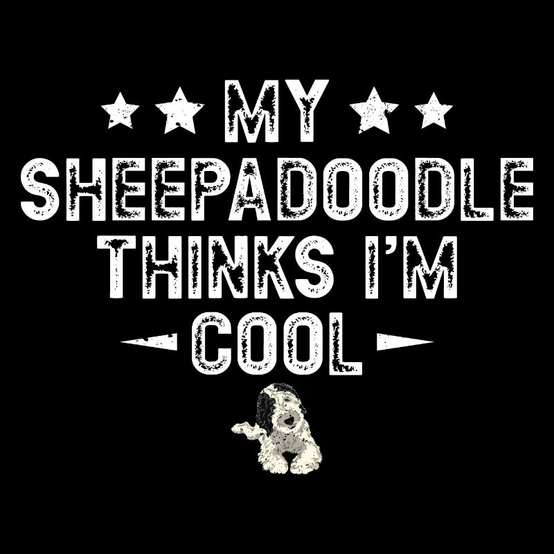 Sheepadoodle Doodle Hund