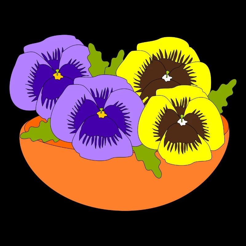 Pansy