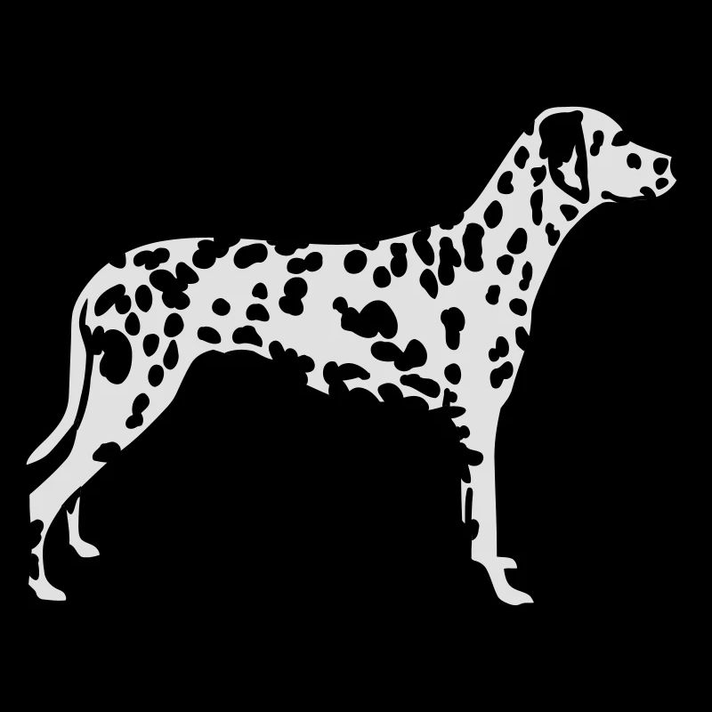 Dalmatian