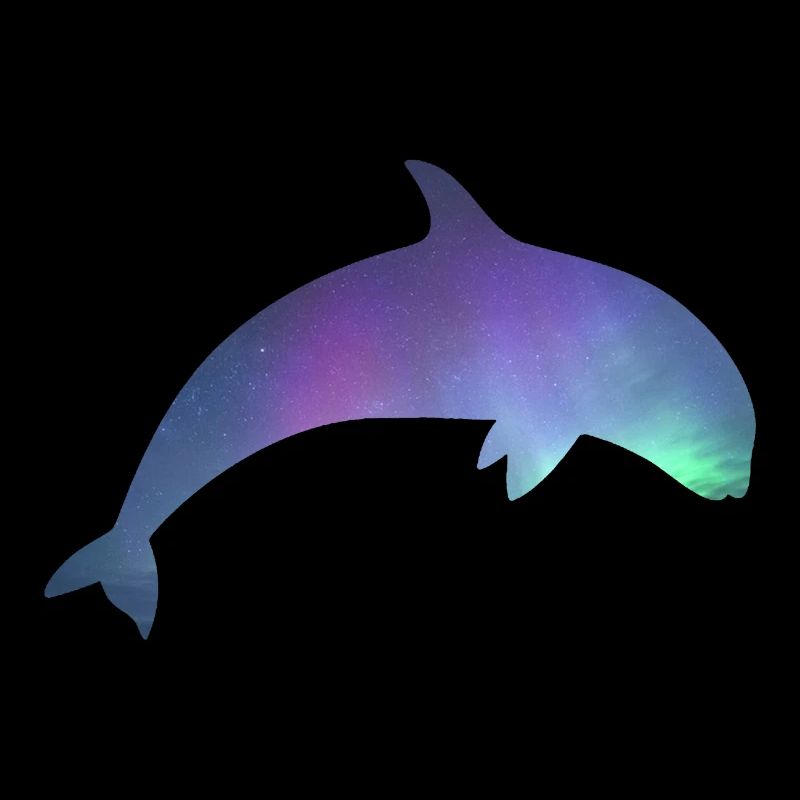 Orca/Killerwal mit Nordlichtern