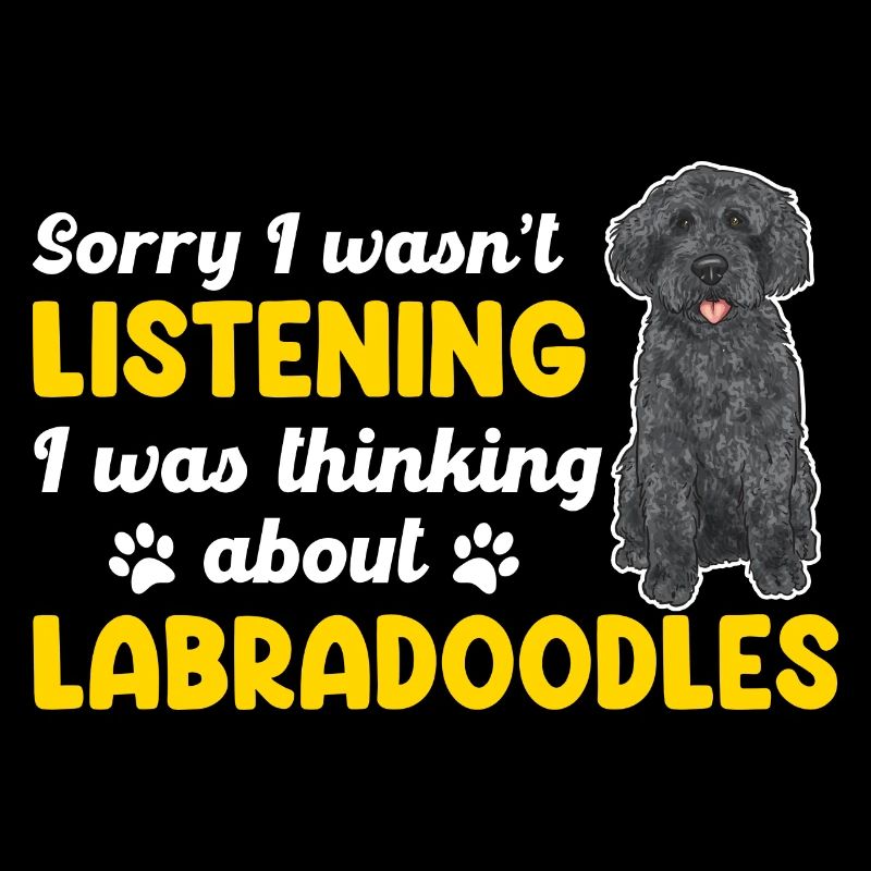 Labradoodle Hund
