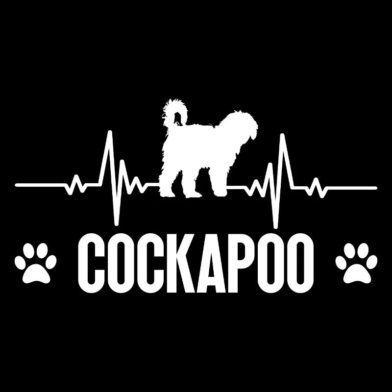 Cockapoo Hund