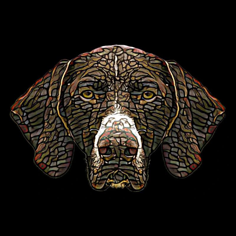 German Shorthaired Pointer Face
