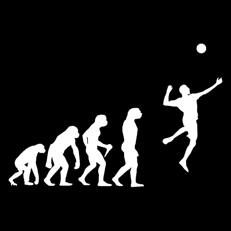 Faustball Spielen Evolution Faustball Entwicklung