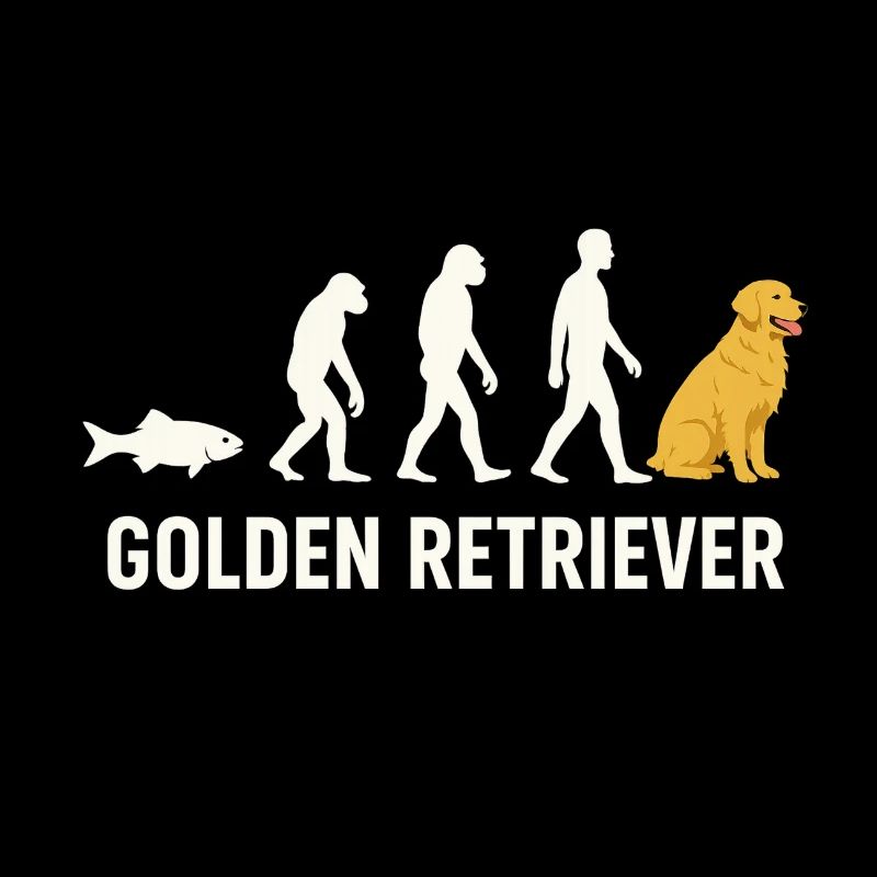 Evolution du Golden Retriever