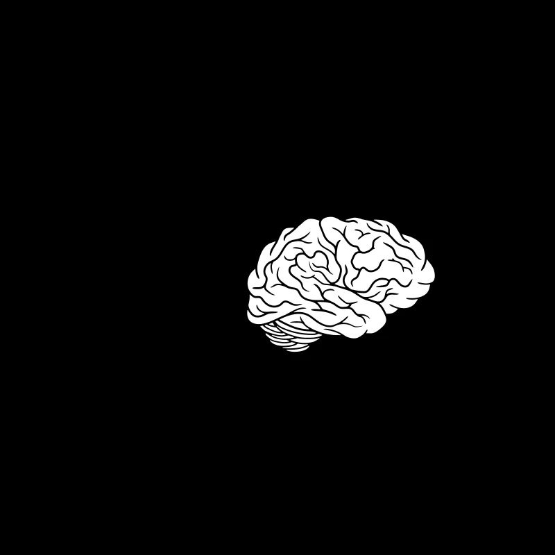 Conception du cerveau ECG