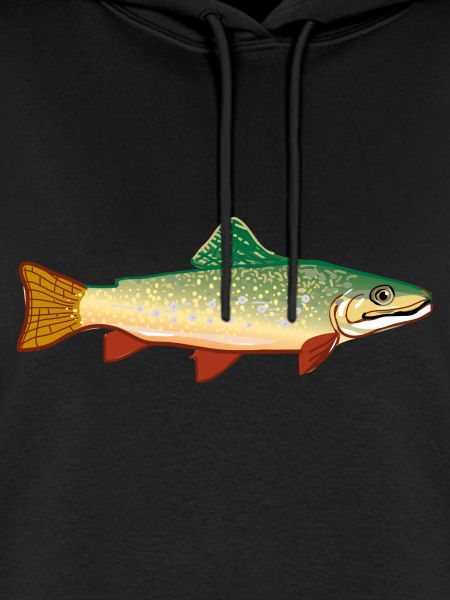 fish524