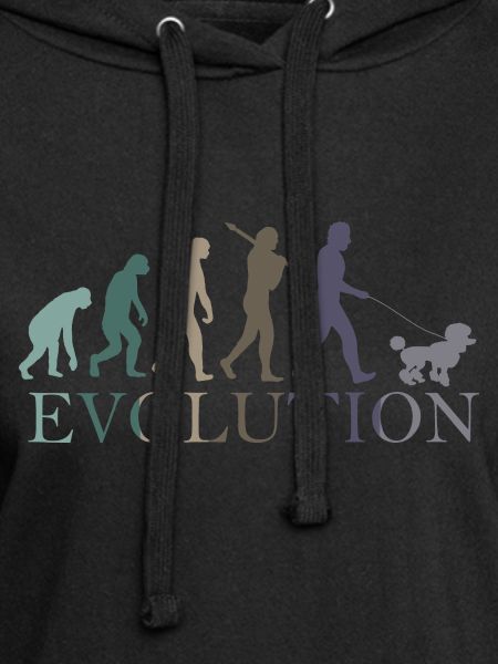 EVOLUTION PUDEL