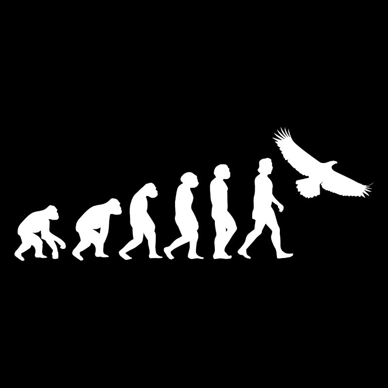 Adler weiß Evolution Tiere Greifvogel Vogel