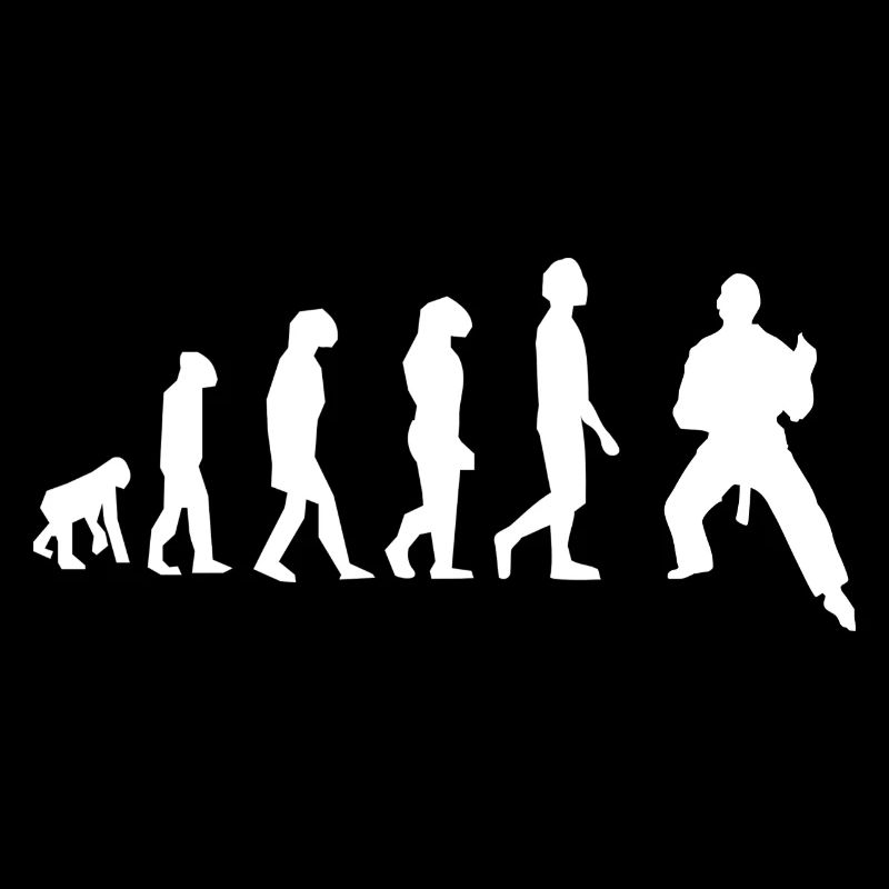 Art martiaux évolution