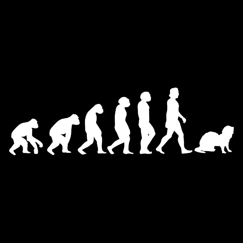 Frettchen Evolution der Menschen Tiere