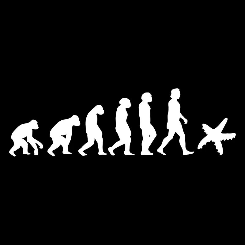 Seestern Meerestier Evolution der Menschen Tiere