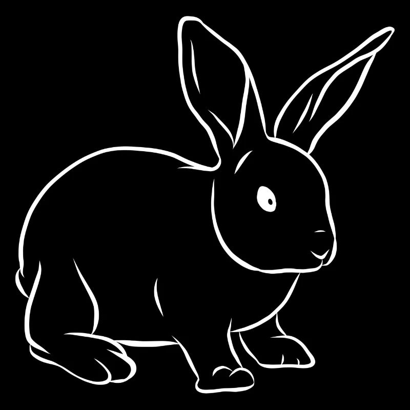 Rabbit Bunny Bunny Rabbit Easter Bunny