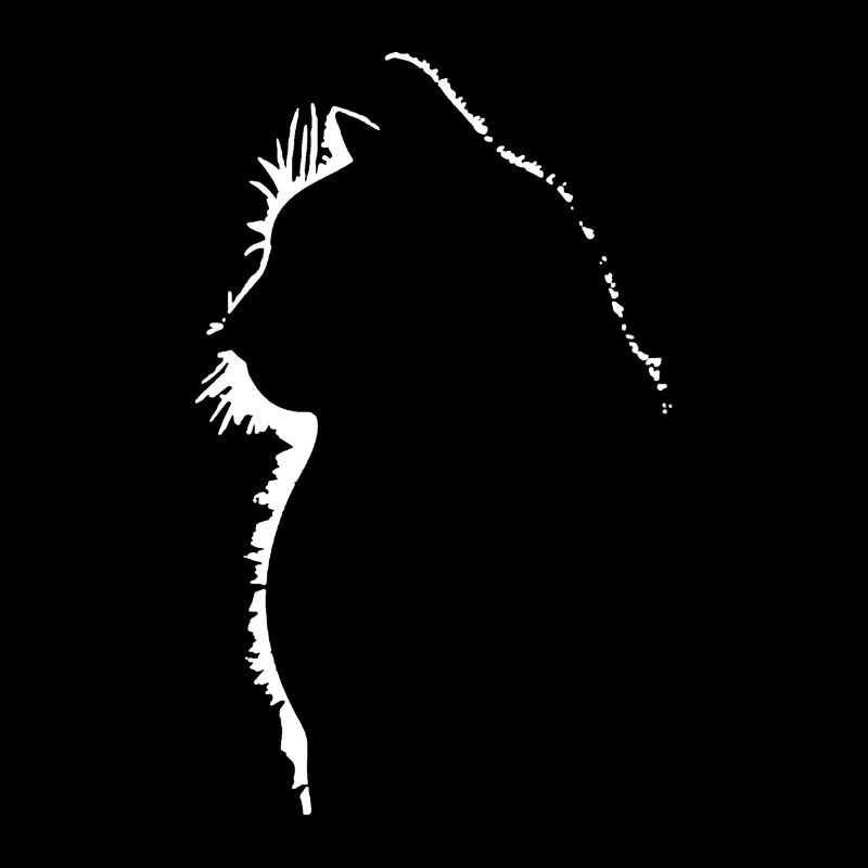 Cat cats silhouette light reflection cat shirt