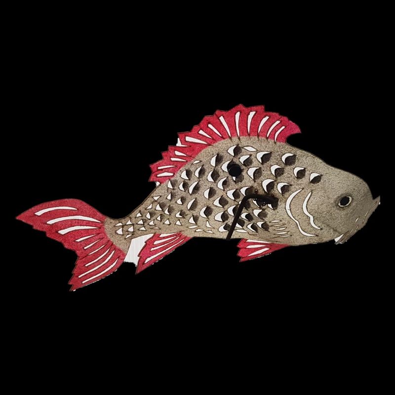 Koi carp,koi, carp, fish