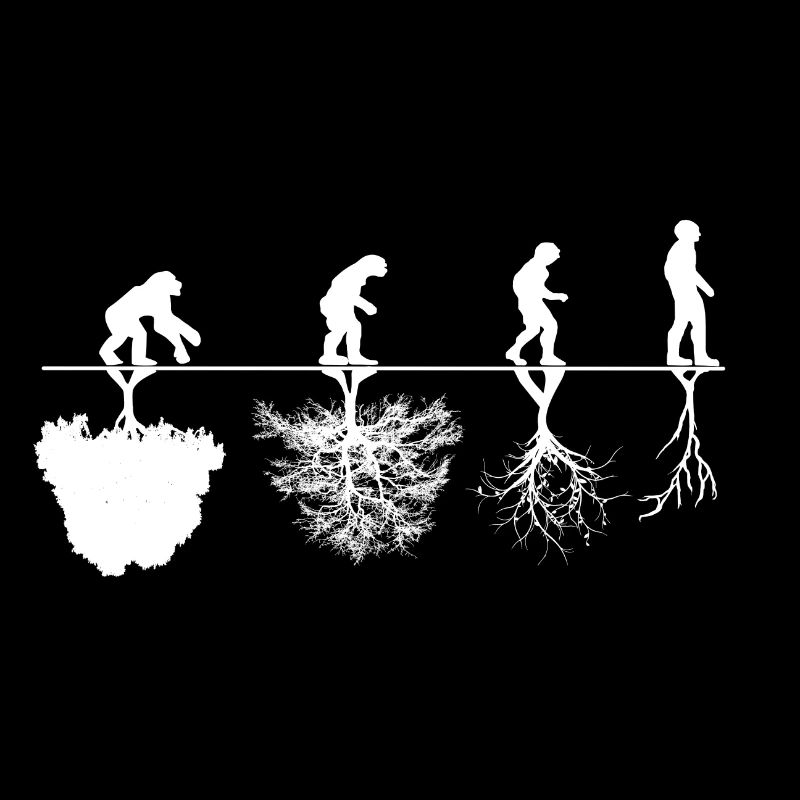 Evolution Kritik