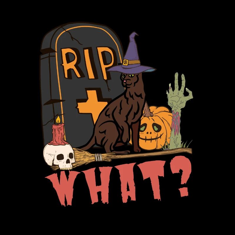 Mignon et effrayant chat d’Halloween de La Havane