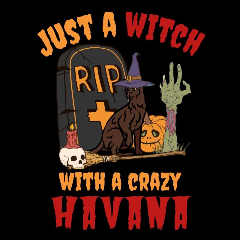 Mignon et effrayant chat d’Halloween de La Havane
