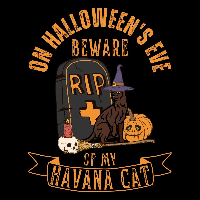 Mignon et effrayant chat d’Halloween de La Havane