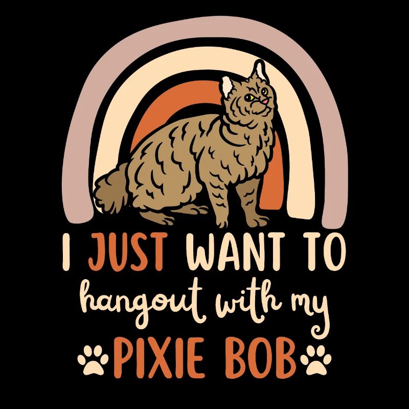 Cute Pixie Bob Cat
