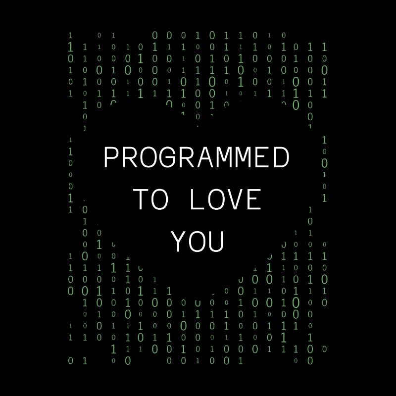 Programmeur Codeur développeur