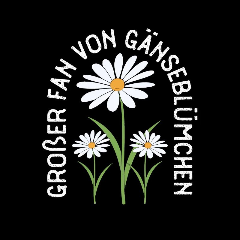 Gänseblume Gänseblümchen