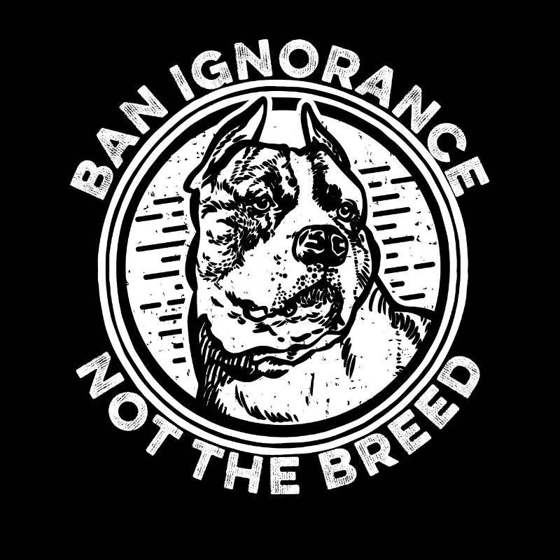 Pitbull Pitbull Interdiction