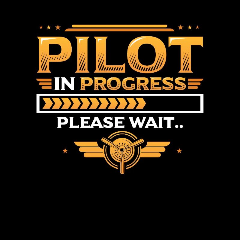Pilot In Arbeit, Bitte Warten, Flugzeugtraining