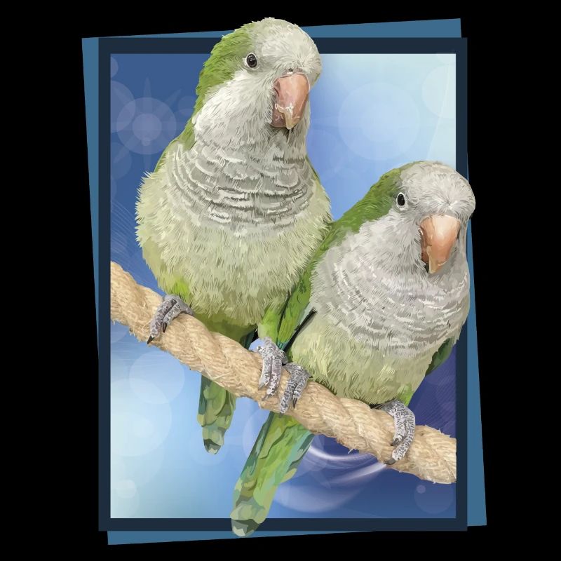 Argentine Parakeet