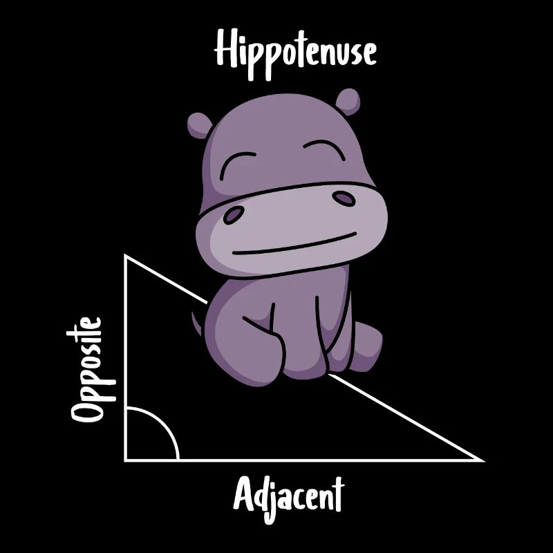 Hippotenuse Funny Math