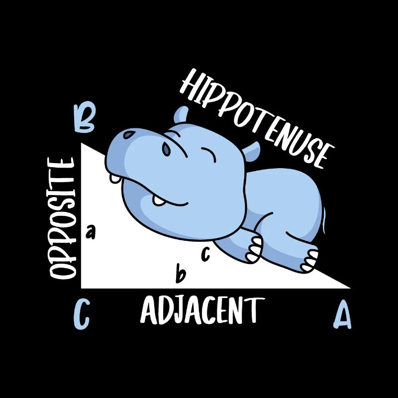 Hippotenuse Professeur de mathématiques Fun Math