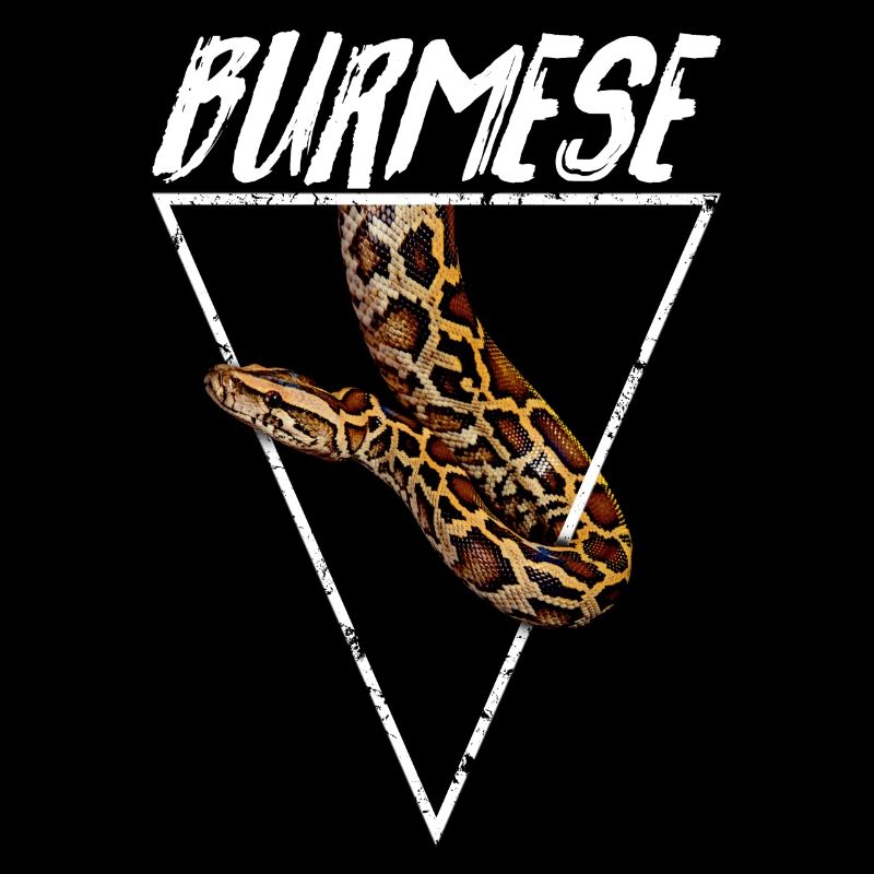 Burmesischer Python Besitzer Geometrisch