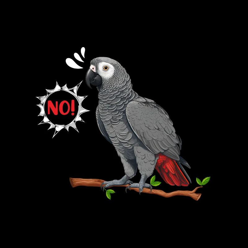 Grey parrot NO! African Grey Bird Lovers